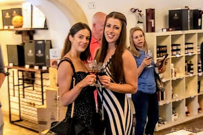 Lisbon & The South Side Wine Regions Private Luxury Tour - Price and Logistics