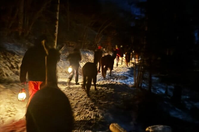 Llama hike with homemade, traditional cheese fondue - Exploring the Llama & Alpakahof Triesenberg Experience