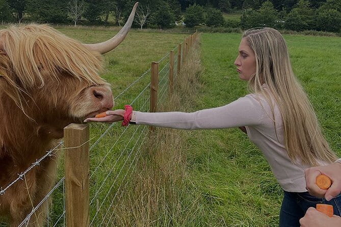 Loch Ness and Outlander Sites Tour from Inverness - Who This Tour Is Best For