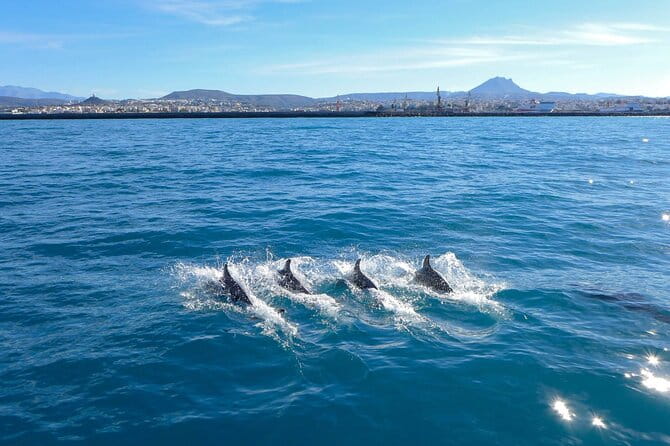 Luxury escape Sailing, shared from Hersonissos or Heraklion port - FAQ