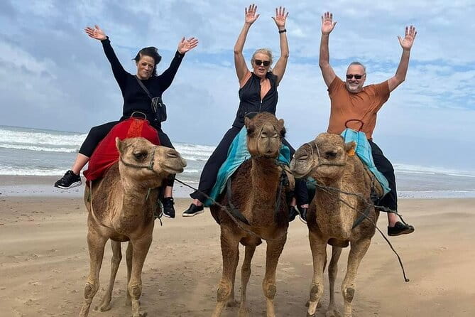 Luxury Tangier Private Day Tour from Malaga All inclusive - Frequently Asked Questions