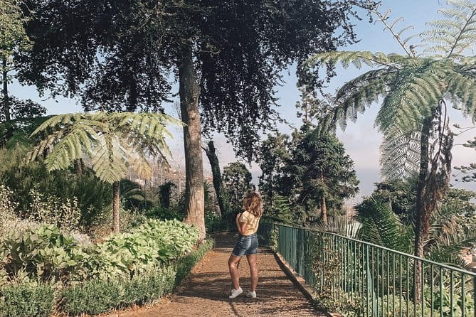 Madeira : An wonderful West Tour from Funchal (Pickup included) - Final Thoughts