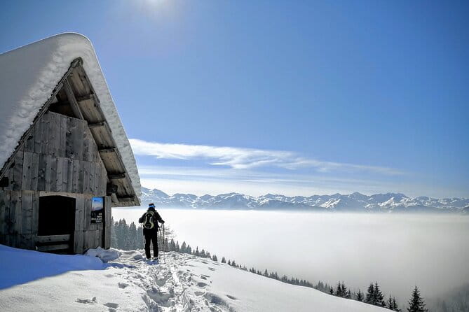 Magical Snowshoeing in Bohinj valley - Practical Details That Matter
