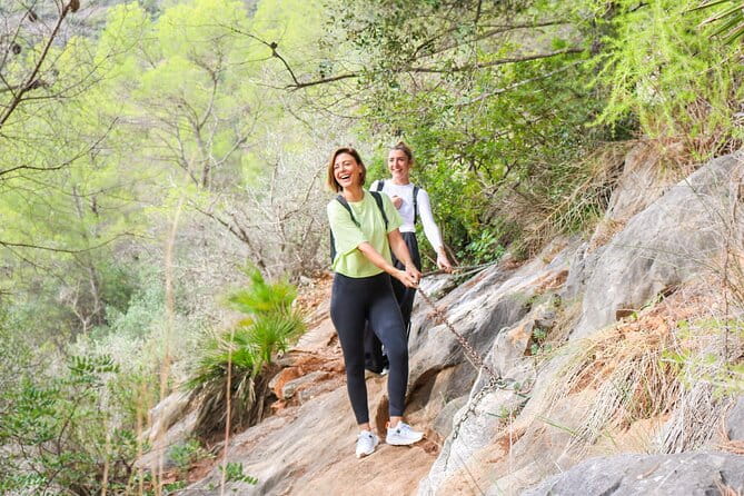 Marbella Guided Hiking and Foraging Adventure - The Itinerary: What to Expect