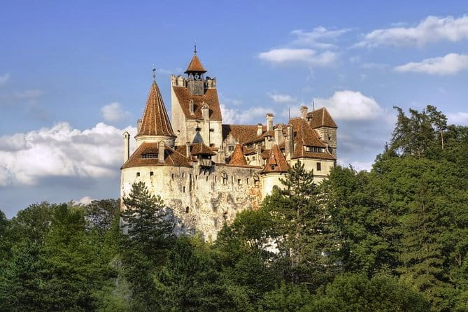 Meet the Bears & Visit Dracula Castle Day Tour from Bucharest - Is this tour right for you?