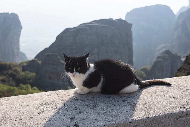 Meteora Full-Day Trip with Guide on Luxury Bus From Athens - The Value of Guided Transportation and Expert Commentary