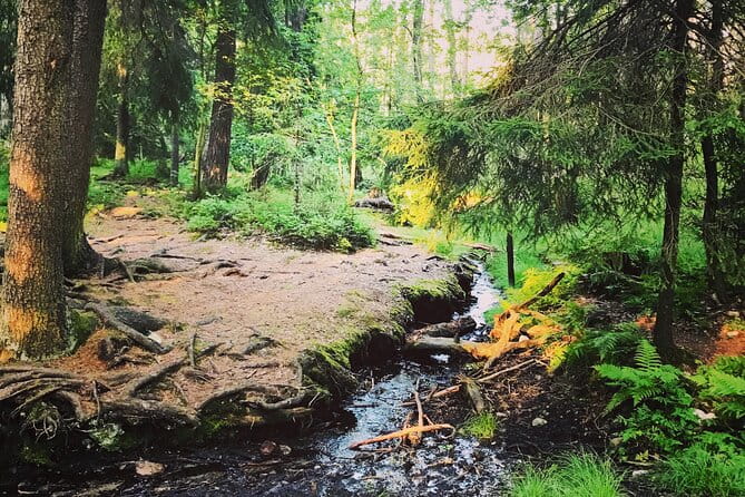 Midnight Sun and Campfire - National Park evening hike Stockholm - The Sum Up: Is It Worth It?