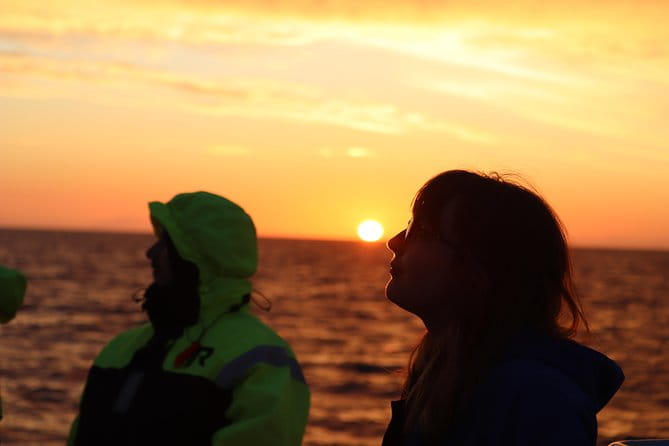 Midnight Sun Whale Watching from Reykjavik - Practical Tips for a Successful Whale Watching Experience