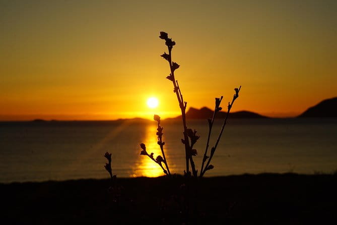 Midnightsun- Eco friendly Tesla Model X - Why This Tour Is Worth the Price