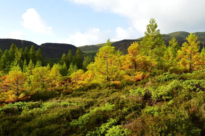 Mistérios Negros Hiking Trail - Terceira Azores - Frequently Asked Questions