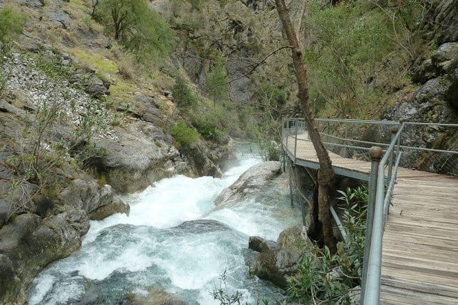 Monster Green Canyon Safari with Lunch - Who Will Love This Tour?