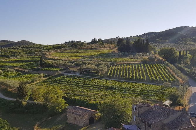 Montefioralle Winery - Tour and Wine Tasting in Chianti - Pricing and Value