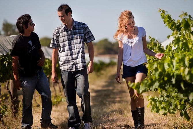 Montserrat Mountain, Wine Tasting & Tapas Lunch - The Penedés Winery: Organic Wines and a Delicious Meal