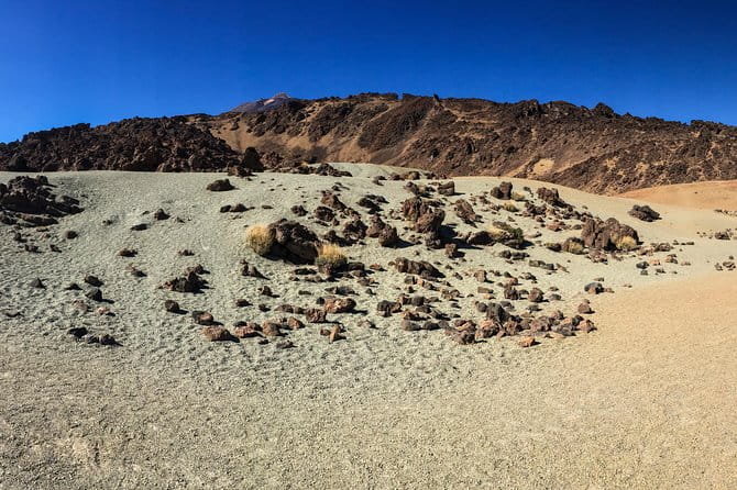 Mount Teide and Tenerife North with Food & Wine Tasting Private Tour - Who Will Love This Tour?