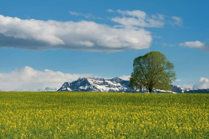 Mount Titlis with Swiss Travel Pass - Pricing and Value