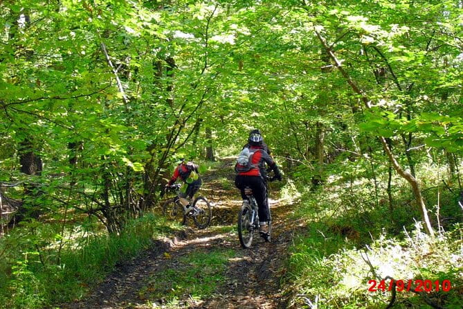 Mountain Bike Day Tour around Brasov - Exploring Brasov’s Mountain Bike Tour in Detail