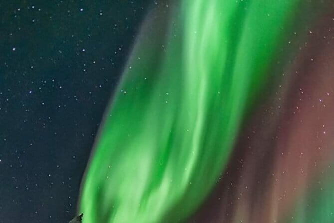 Northern Lights Hunting Tour Rovaniemi - The Sum Up: Is This Tour Worth It?