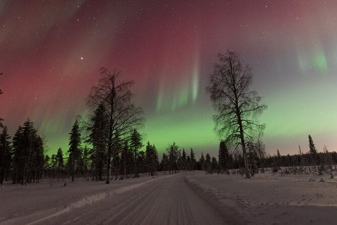 Northern Lights Hunting with a photographer (Only small groups) - Who This Tour Suits Best