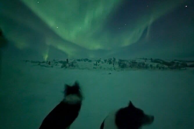 Northern Lights Minibus Chase Max 16 Person In Group - Price and Logistics: Is It Worth It?