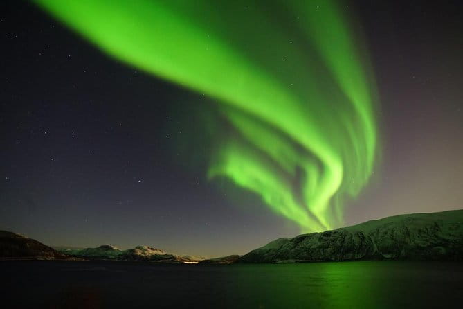 Northern lights - TeslaX Ecofriendly Car - Final Thoughts: Is It Worth It?