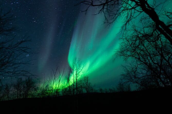 Northern Lights Tour from Kiruna to Abisko with Dinner - Who It’s Perfect For