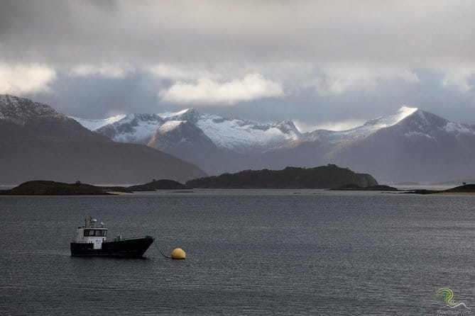 Norwegian Fjords Tour, Including Professional Photos in Tromso - Who Would Love This Tour?