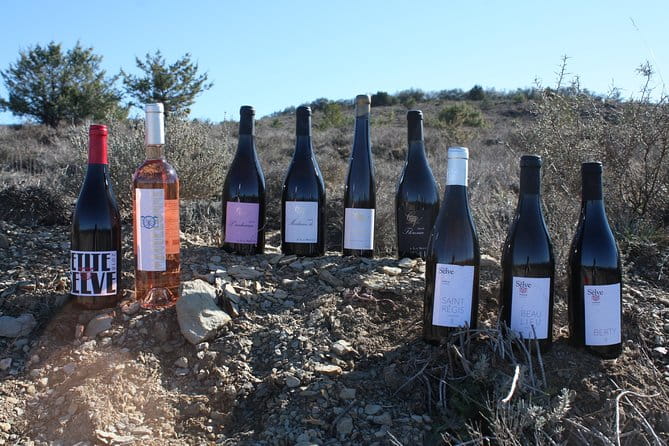 Oenological workshops at La Selve - Who Should Consider This Experience?