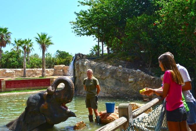 Offer Summer Terra Natura entrance ticket - Final Thoughts