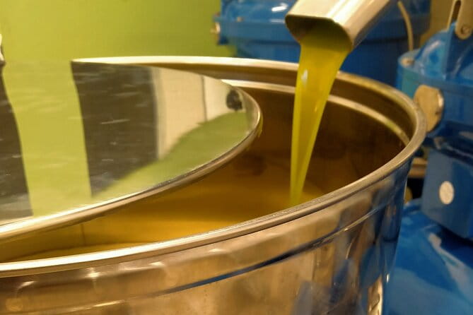 Oil Mill Private Tour with Guided Oil Tasting - Unique Aspects That Set It Apart