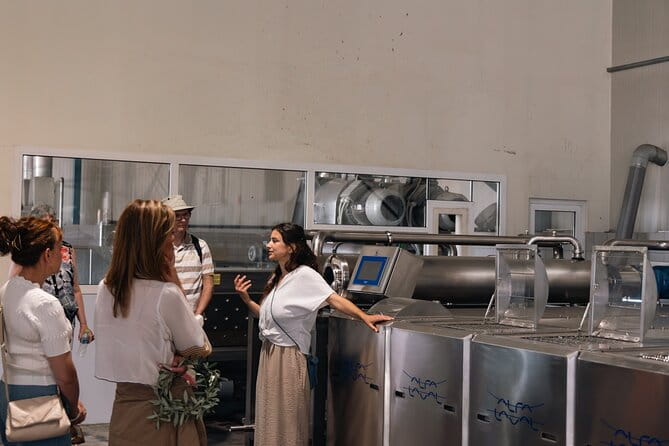 Olive oil Mill Visit-Kalamata Olives and Olive oil Tasting - The Sum Up