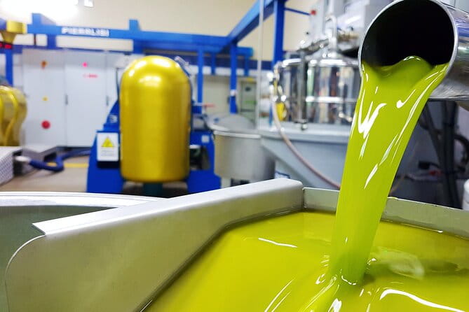 Olive Oil Tasting & Historic Olive Mill Tour in Ragusa area - Who Is This Tour Ideal For?