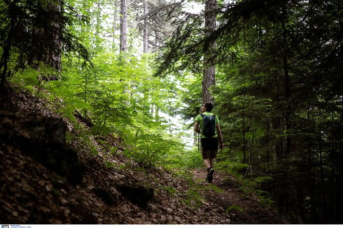 Olympus the mountain of the 12 gods of Greek mythology Smallgroup - Why This Tour Might Be Perfect for You