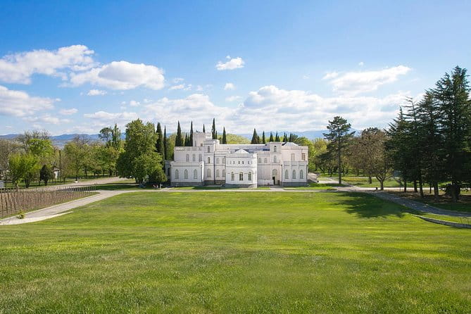 Organic wines of Mtskheta - private tour with lunch and wine tastings - Who This Tour Is Perfect For