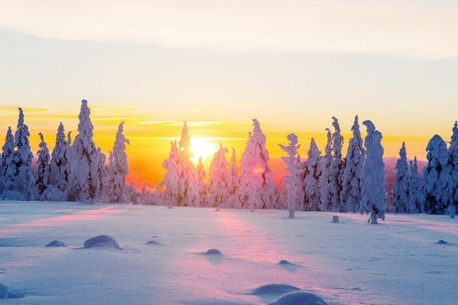 Ounasvaara and Ranua Zoo - FAQ