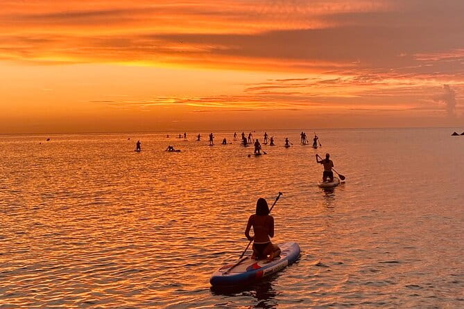 Paddle Surfing in Barcelona - Exploring Paddle Surfing in Barcelona — What to Expect