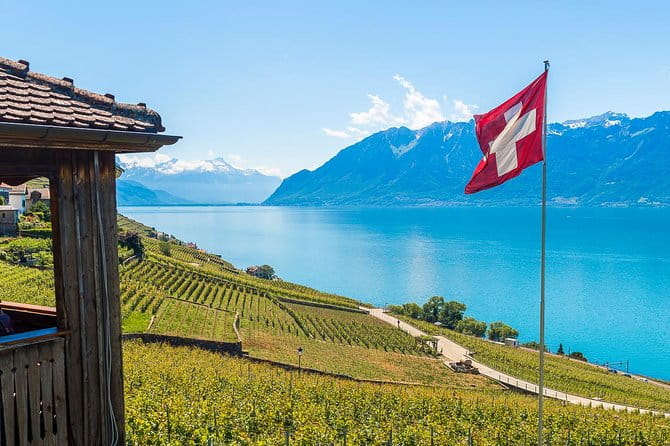 Panoramic Wine Tour From Montreux - Key Points / Takeaways