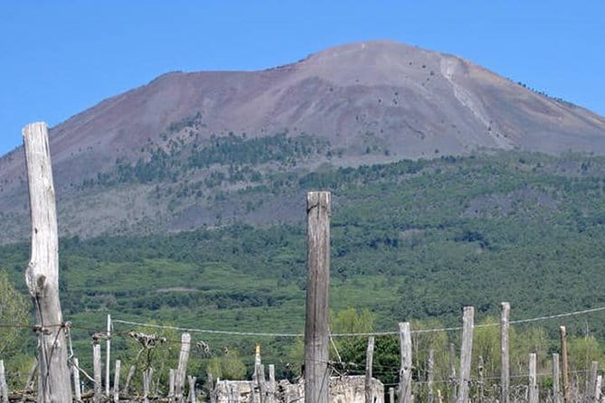 Pompeii, Herculaneum and Vesuvius Private Guided Tour - Climbing Mount Vesuvius: A Scenic Hike and a View