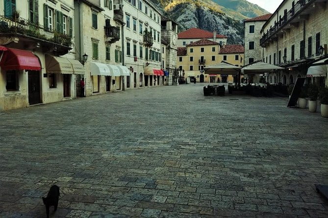 Port of Kotor tour - Kotor old town private walking tour - Who Should Consider This Tour?