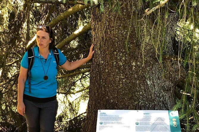 Power of Trees Private Tasting Tour - Why This Tour Delivers Excellent Value