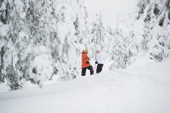Premium Snowshoeing in Pyhä-Luosto National Park - FAQ