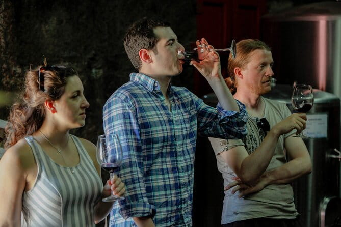 PREMIUM TASTING and TAPAS with GUIDED TOUR - The Venue and Its Atmosphere