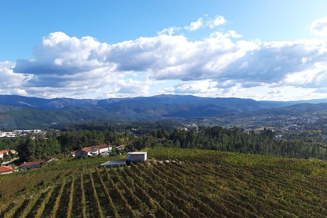 Premium Tasting | Quinta de Santa Cristina Vinho Verde - Practical Details: Logistics, Cost, and Booking