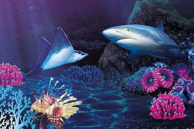 Premium Ticket Sea Life Benalmádena - Additional Activities and Facilities