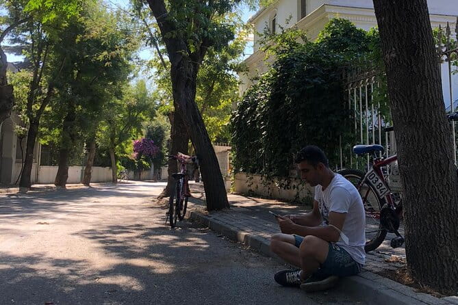 Princess Islands Tour With Lunch and Guide - Who Should Consider This Tour?