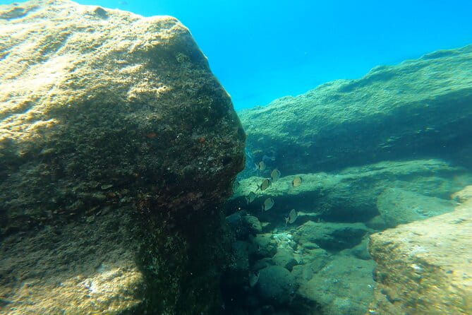 Private 1-Hour Guided Snorkeling Adventure with Go Pro Pictures - FAQ