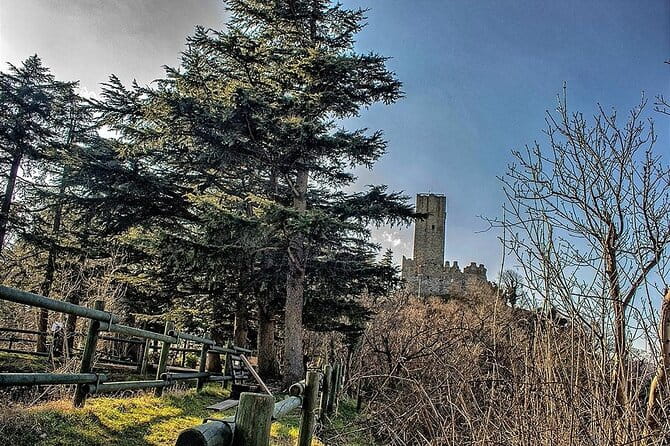 Private 2-Hour Tour of the Medieval Castle over Lake Como - FAQ