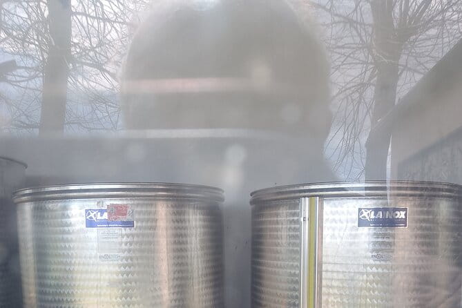 Private Etna tour with wine tasting and lunch - Final Thoughts on Value