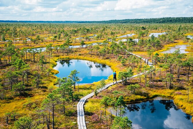 Private Full-Day Trip to Jurmala and Great Kemeri Bog Boardwalk - FAQ