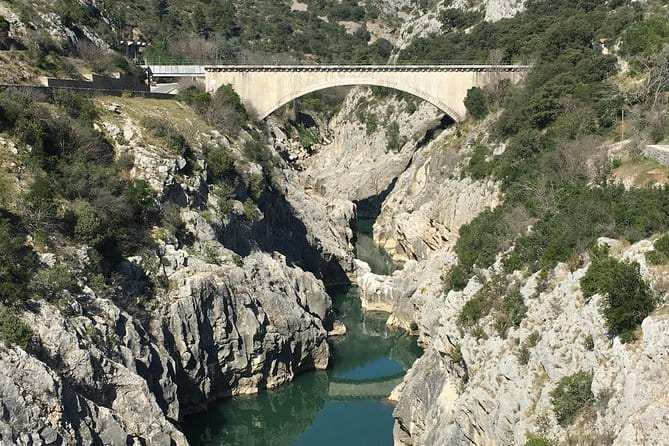 Private full day wine tour and Medieval Village from Montpellier - Practical Details and Tips