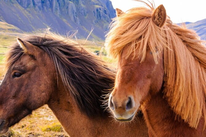 Private Golden Circle tour in a premium class car. - FAQs